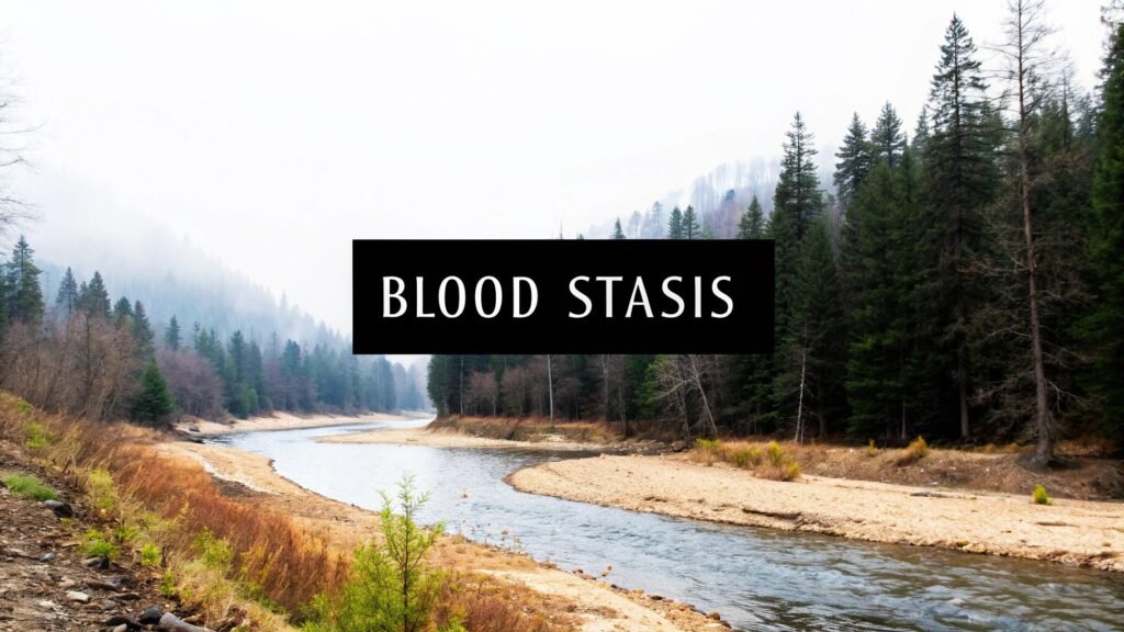 What is Blood Stasis? Symptoms, Causes & Treatments Explained thumbnail 15